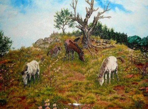Chevaux